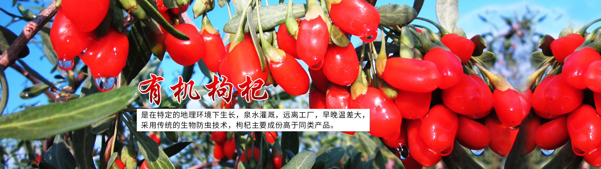 聯(lián)系我們